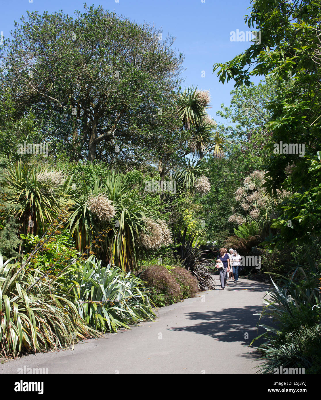 Les beaux jardins subtropicaux Morrab dans le centre de Penzance, Cornwall, UK. Banque D'Images