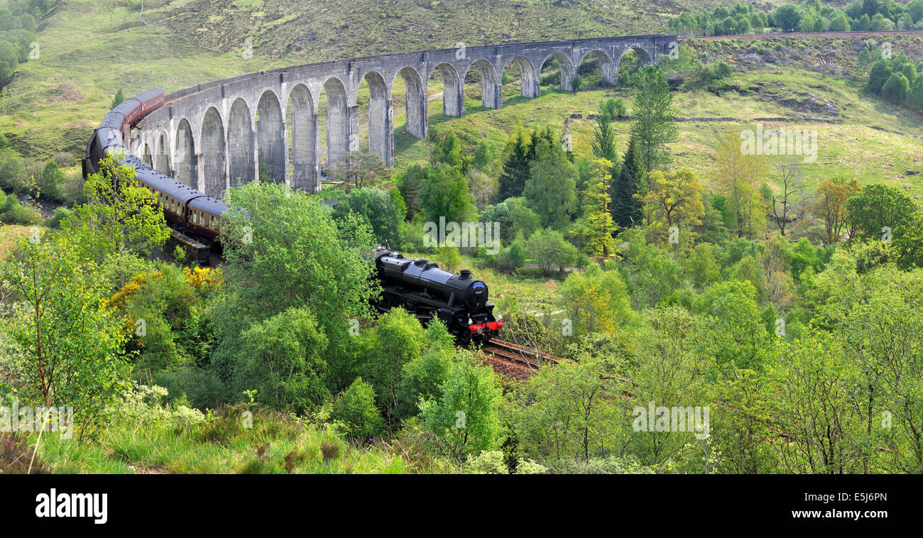 Le train à vapeur Jacobite crossing viaduc de Glenfinnan, Ecosse, Royaume-Uni Banque D'Images