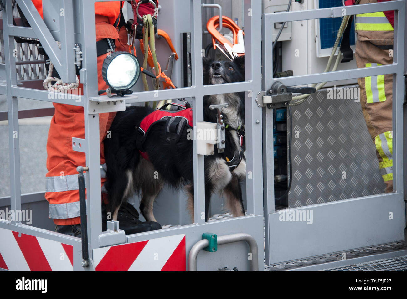 Fire & et de sauvetage de chien de RSMU en cage CPL Banque D'Images