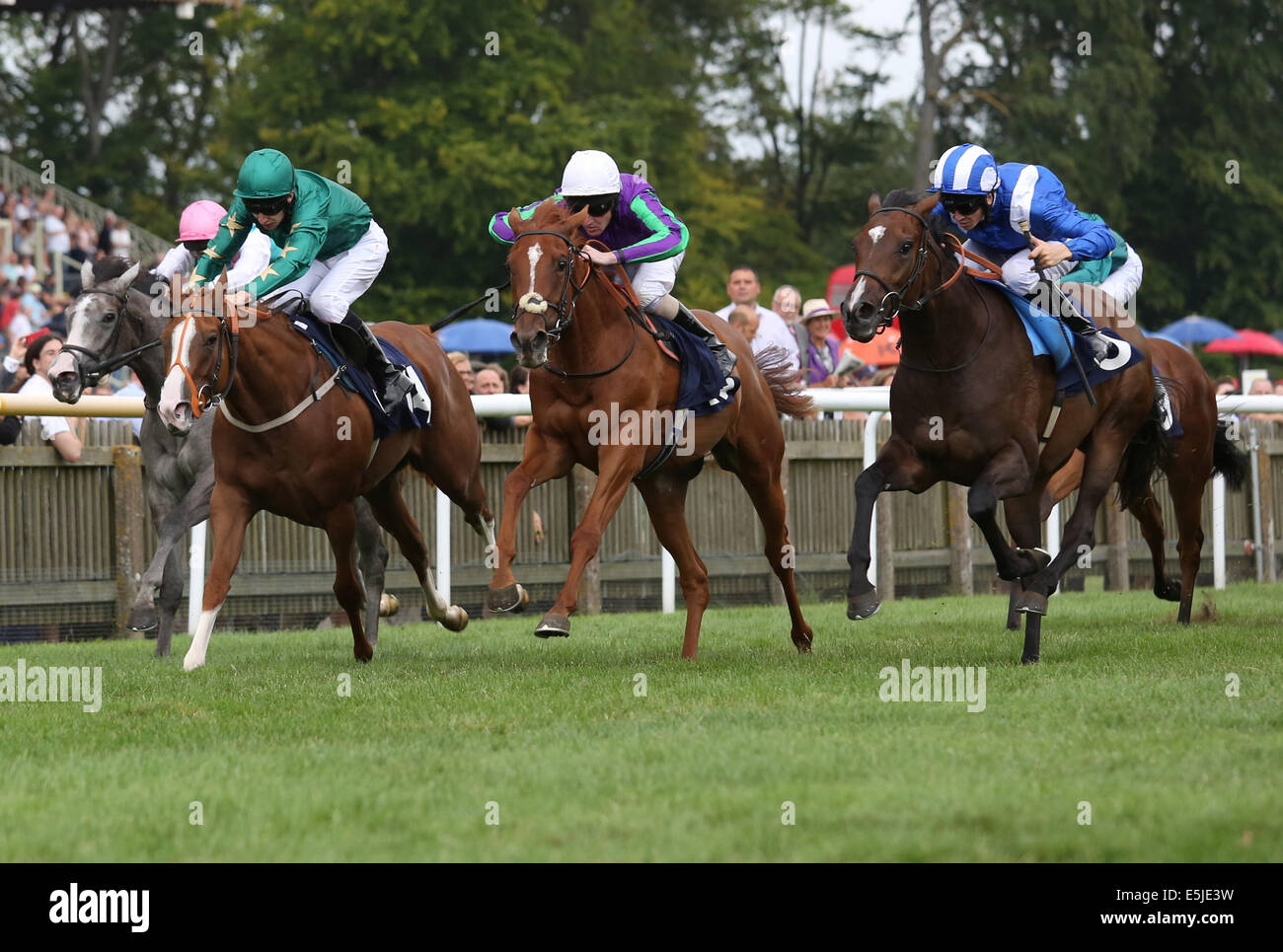 Newmarket, au Royaume-Uni. 07 août, 2014. Fiesta Mexicaine 24. Mahsooba sous David Probert remportant la recherche d'Alzheimers UK EBF Maiden pouliches mises. Credit : Action Plus Sport Images/Alamy Live News Banque D'Images