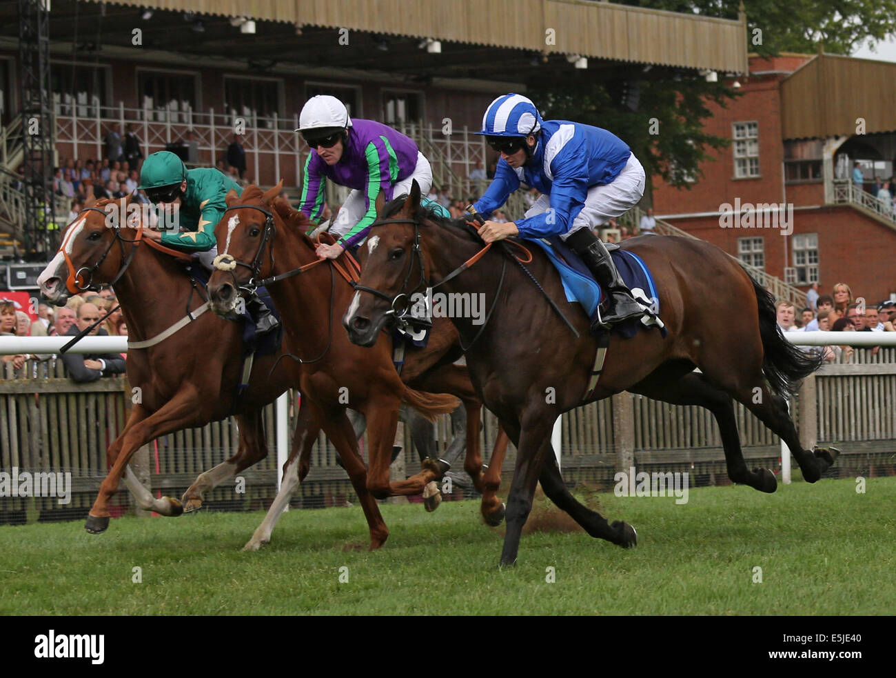 Newmarket, au Royaume-Uni. 07 août, 2014. Fiesta Mexicaine 24. Mahsooba sous David Probert remportant la recherche d'Alzheimers UK EBF Maiden pouliches mises. Credit : Action Plus Sport Images/Alamy Live News Banque D'Images