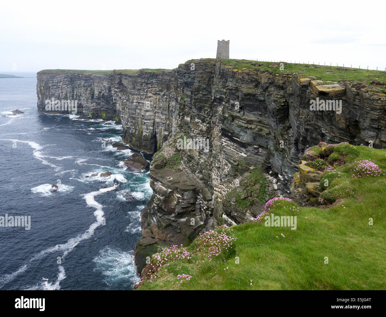 Marwick Head, Orkney mainland, Juin 2014 Banque D'Images