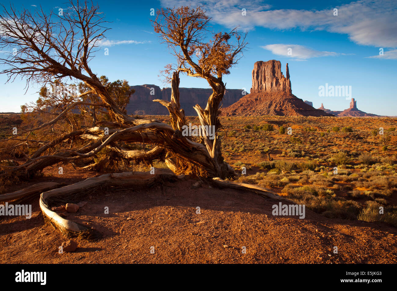 West Mitten Butte, Monument Valley, Navajo Tribal Park, Arizona USA Banque D'Images