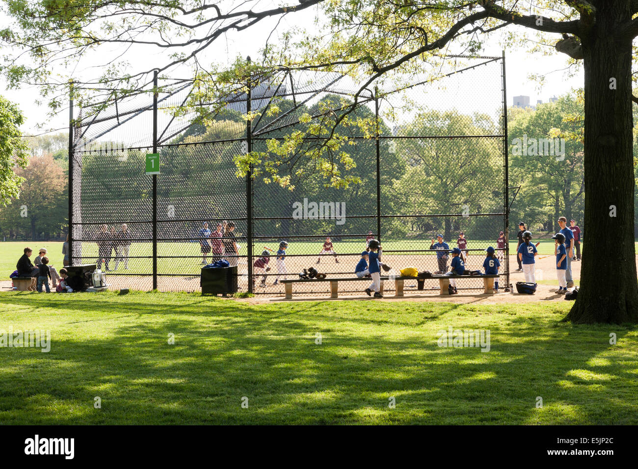 Match de la jeune fille, la grande pelouse, Central Park, NYC Banque D'Images
