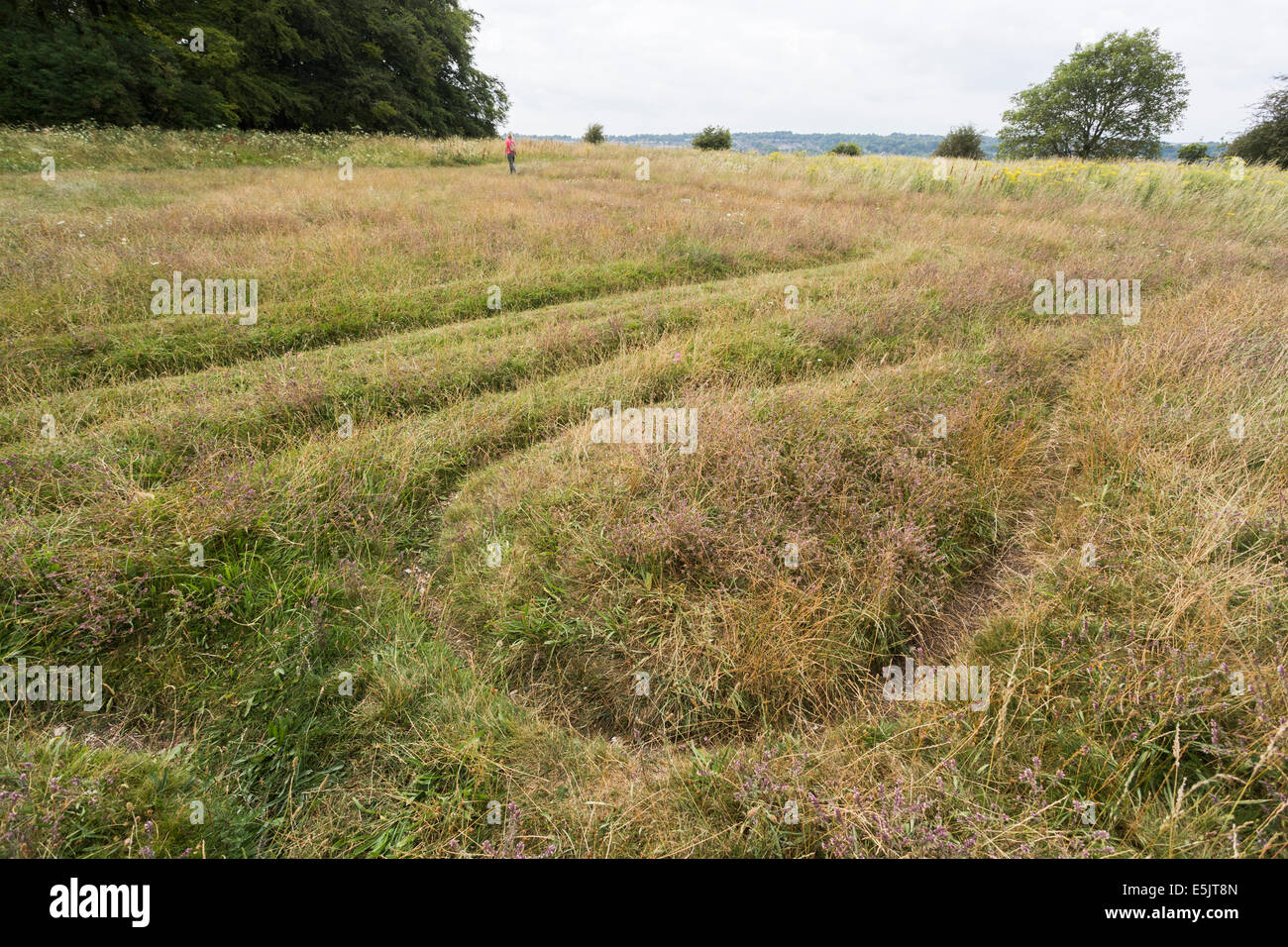 Détail de la ZIM-maze sur St Catherine's Hill, Winchester, sculpté par un écolier qui s'est ensuite suicidé par noyade Banque D'Images