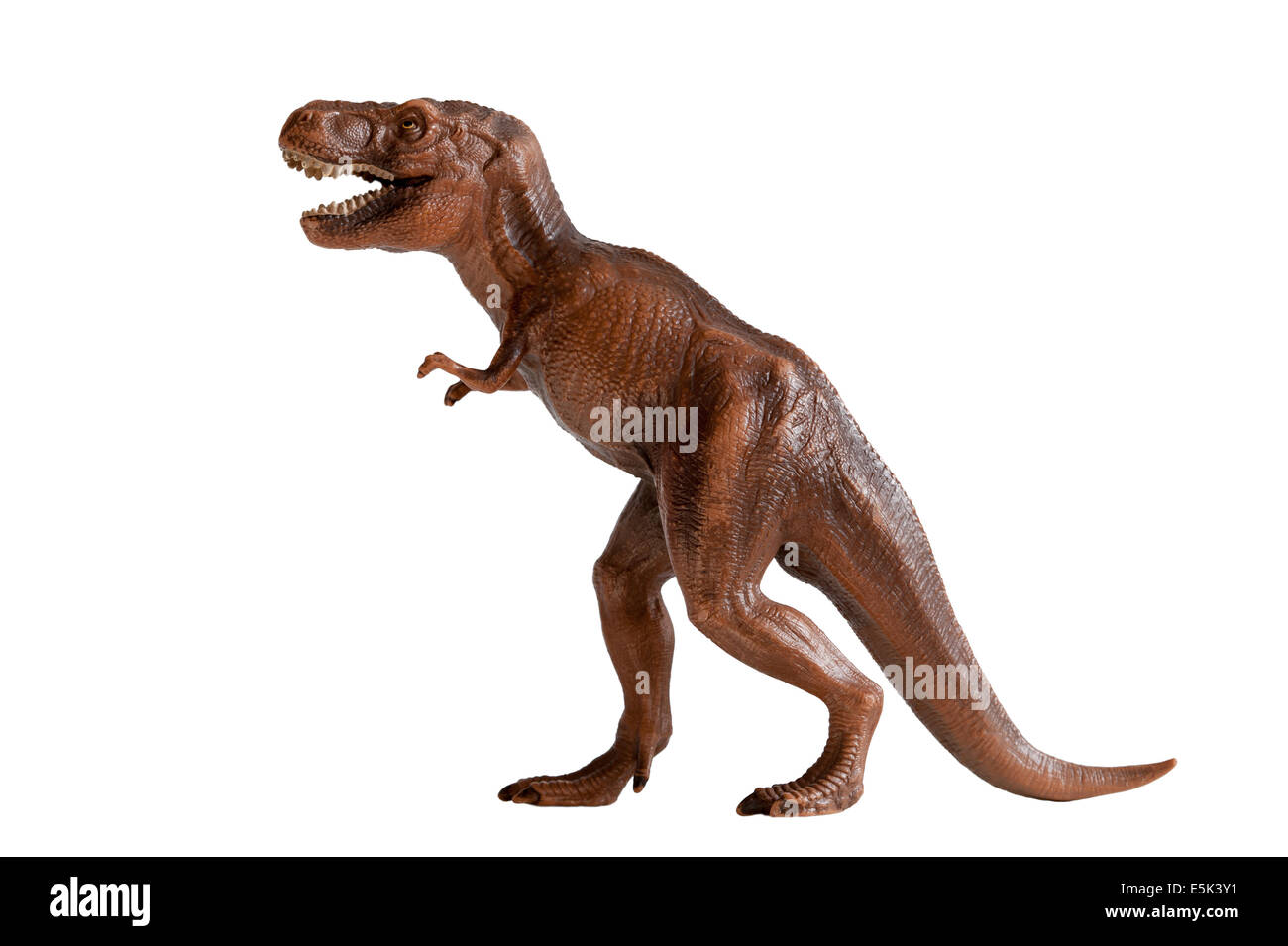 Dinosaure tyrannosaurus rex jouet en plastique isolé sur fond blanc Banque D'Images