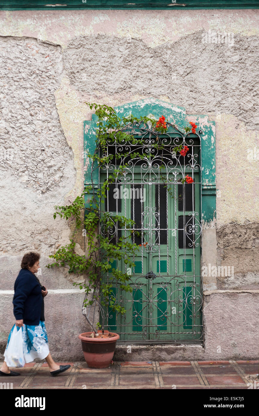 Une femme passe devant une porte verte. Avec shopping dans la main qu'elle passe devant une porte verte couverte de fer et avec une fleur Banque D'Images