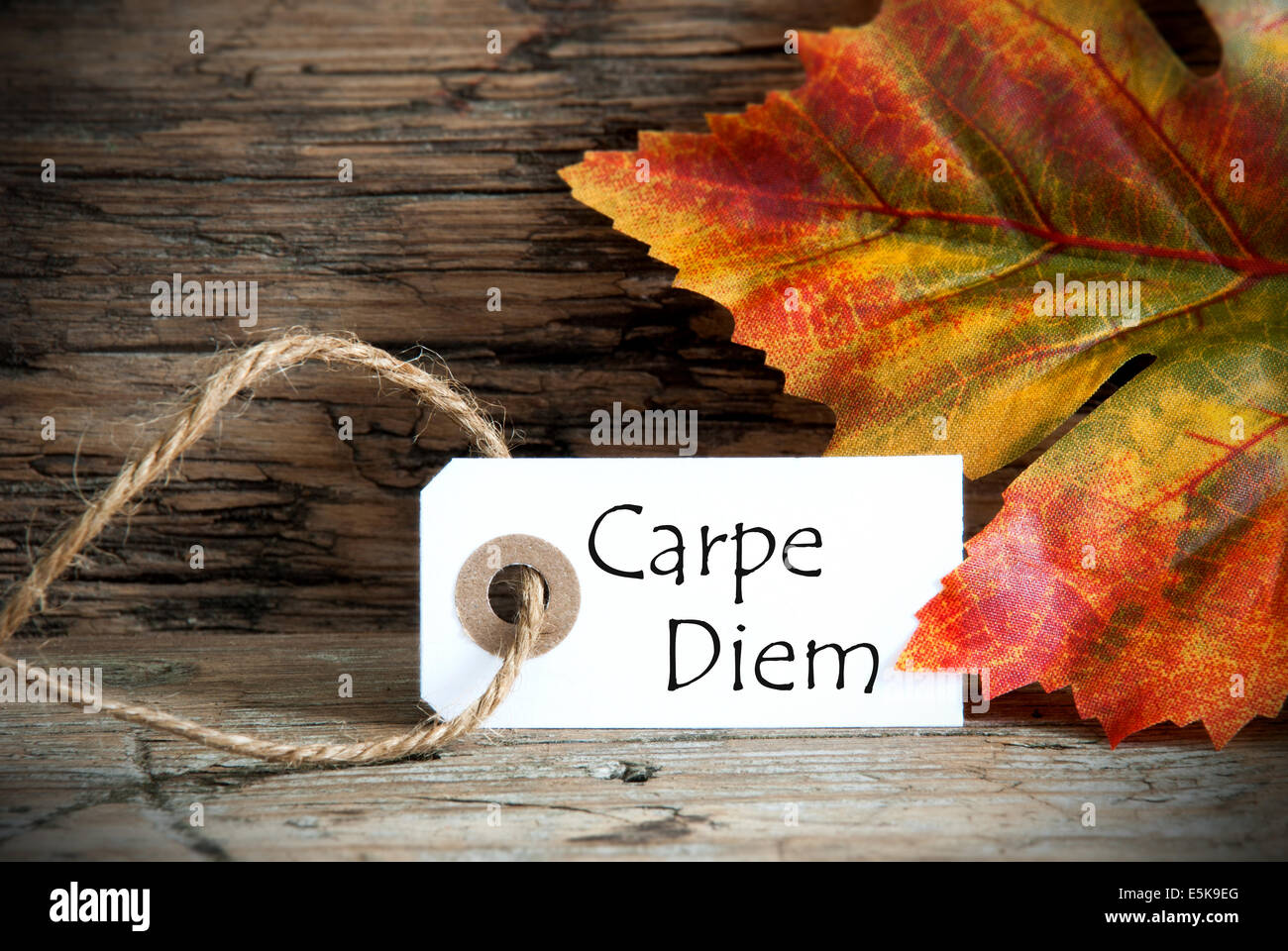 L Etiquette Avec L Automne Feuille D Automne Et La Citation Carpe Diem Photo Stock Alamy
