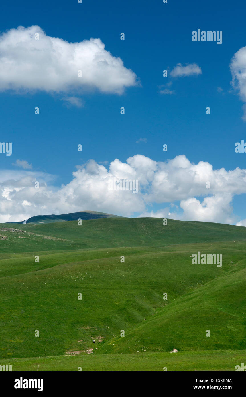 Les pentes herbeuses, les montagnes du Caucase, l'Arménie Banque D'Images