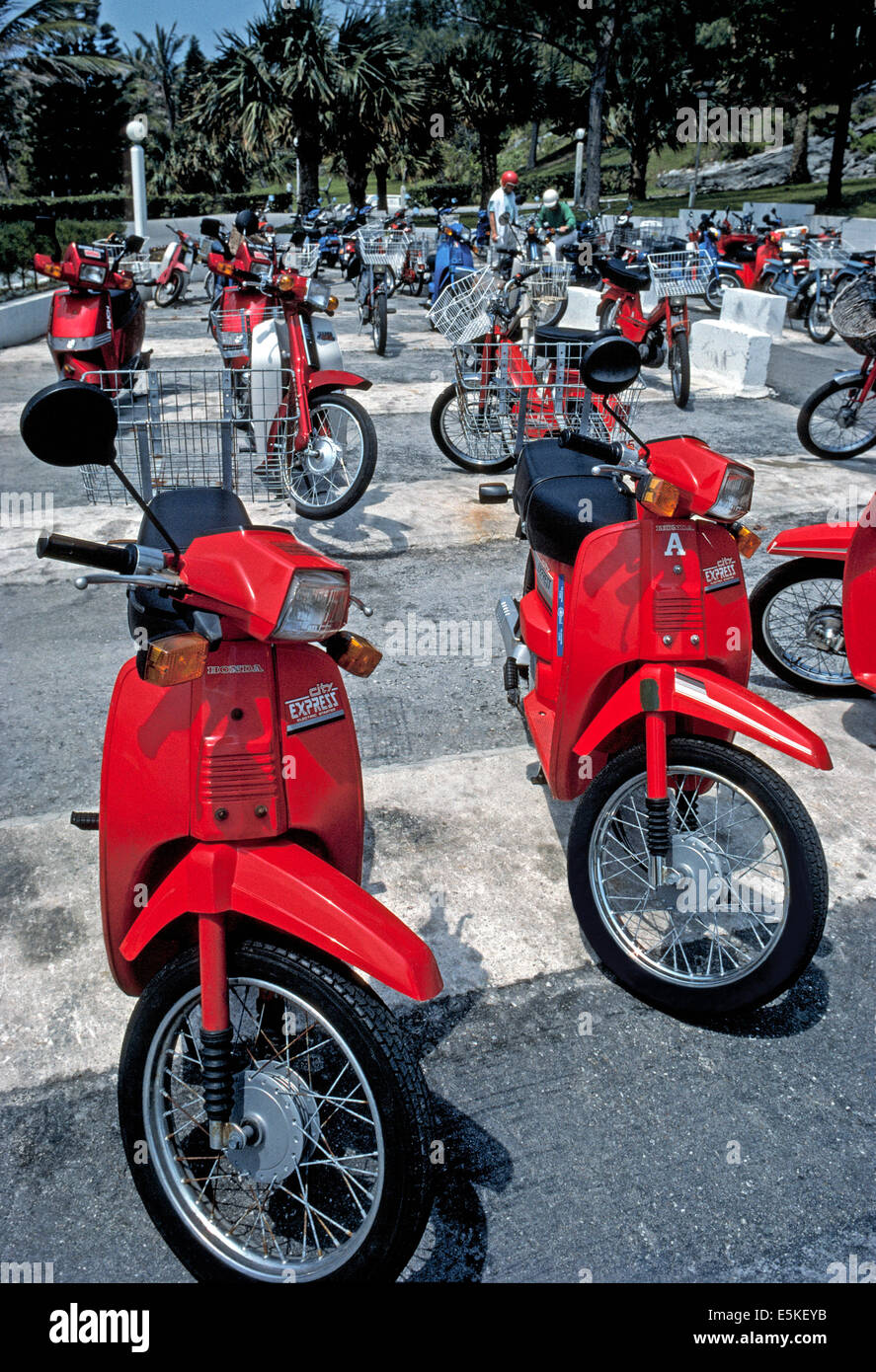 De nombreux visiteurs louer des scooters à moteur (cyclomoteurs) de voyager dans les Bermudes, un territoire de l'île britannique populaire pour les vacances à l'océan Atlantique Nord. Banque D'Images