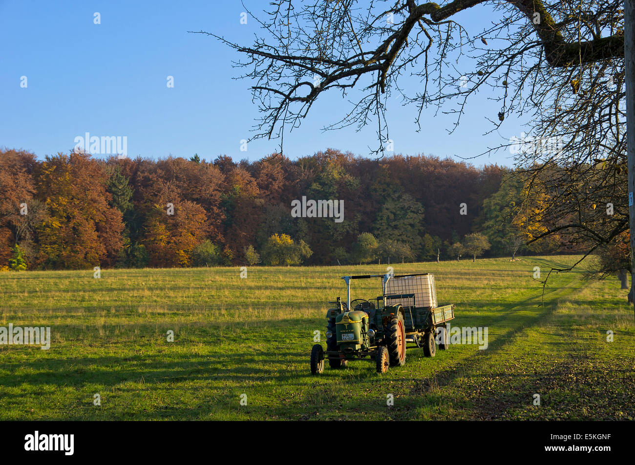 Lonely vieux tracteur sur une prairie de la lumière du soir de l'automne. Banque D'Images