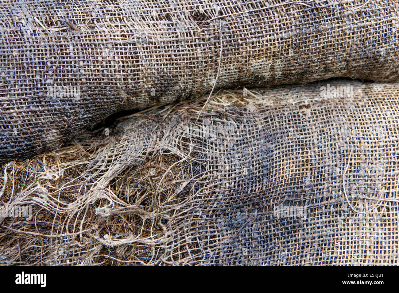 Les choses dans le temps de décroissance Banque D'Images