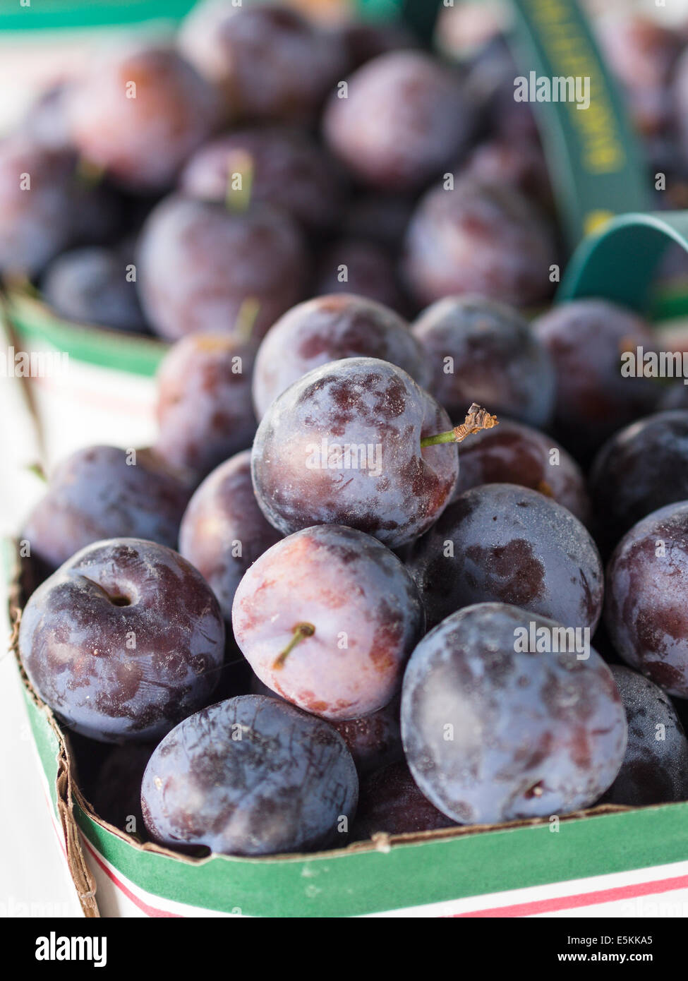 Un petit panier de prunes fraîches mûres. Les prunes empilés dans un marché à la ferme. Wapoose, Prince Edward County, Ontario, Canada Banque D'Images