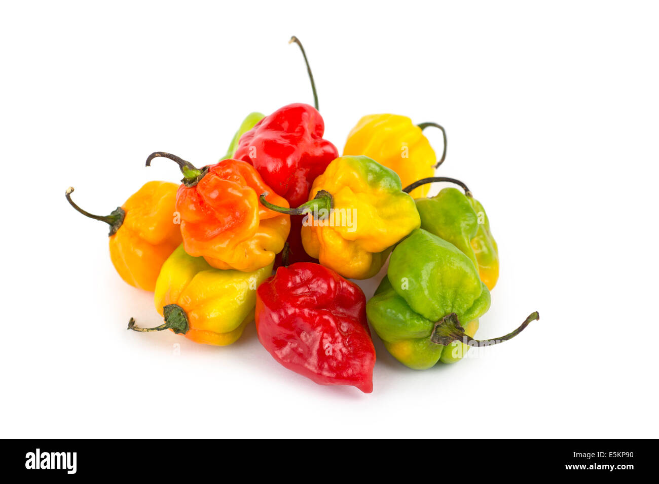 Les piments Scotch Bonnet, bonnet chaud Boabs Banque D'Images