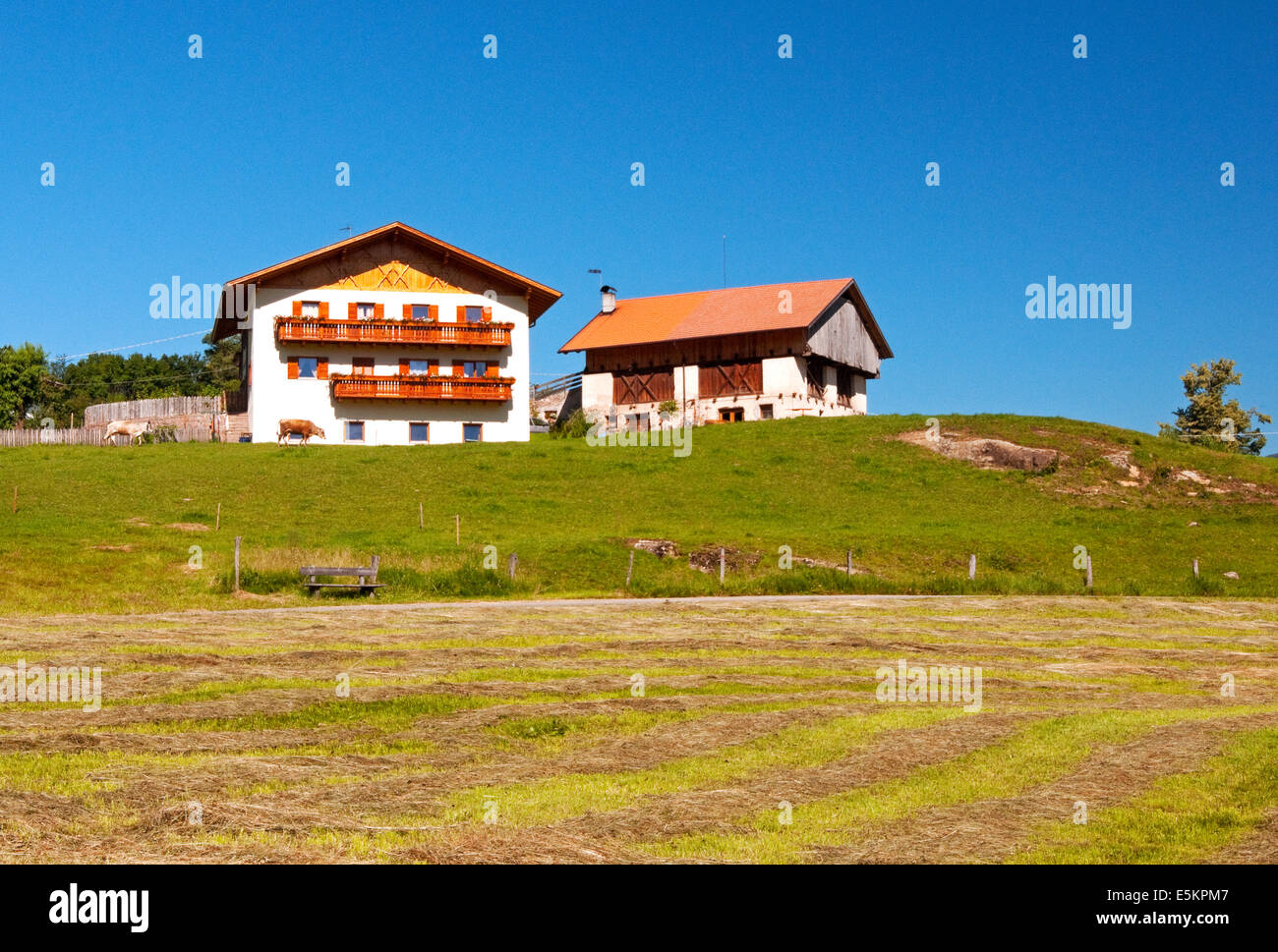 Maison et grange en vallée d'Alpe di Siusi, près de Siusi, Italie Banque D'Images