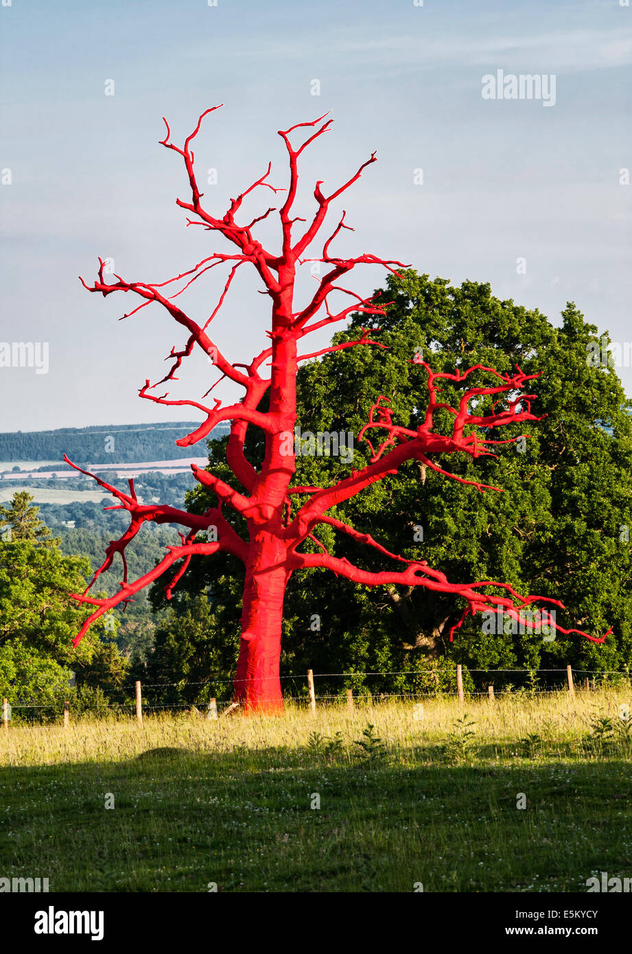 Red Tree (un arbre mort enveloppé de tissu), une œuvre d'art temporaire à Croft Castle, Herefordshire, Royaume-Uni, par l'artiste Philippa Lawrence Banque D'Images