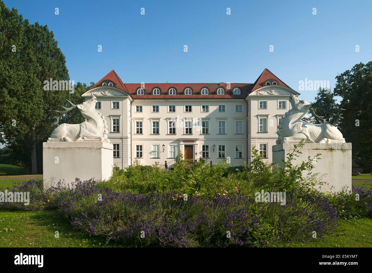 Façade principale et motifs de Schloss Wedendorf château, construit en 1679, reconstruit dans le style néo-classique en 1810, maintenant un hôtel Banque D'Images