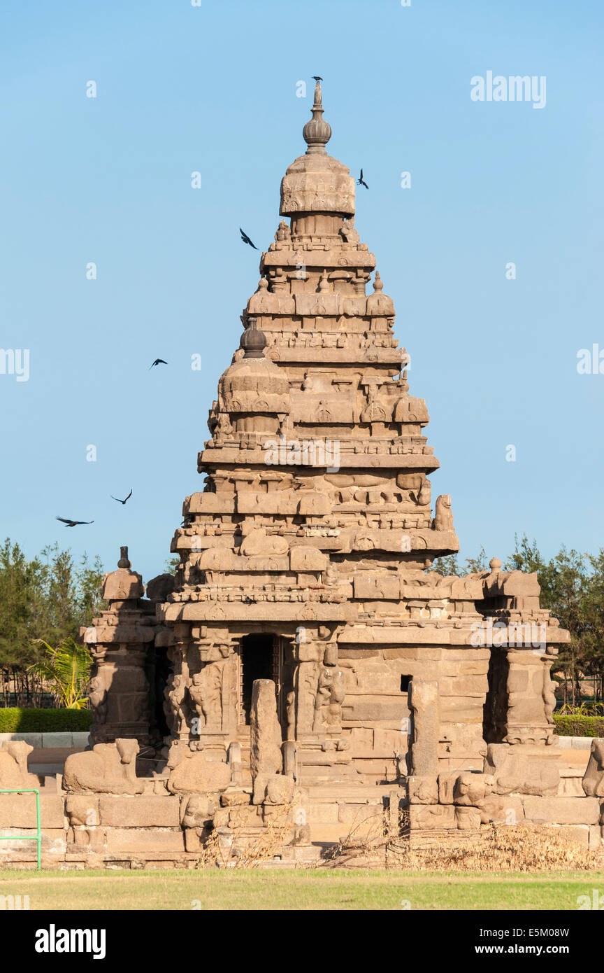 Shore Temple, Mahabalipuram, Kanchipuram, Tamil Nadu, Inde Banque D'Images