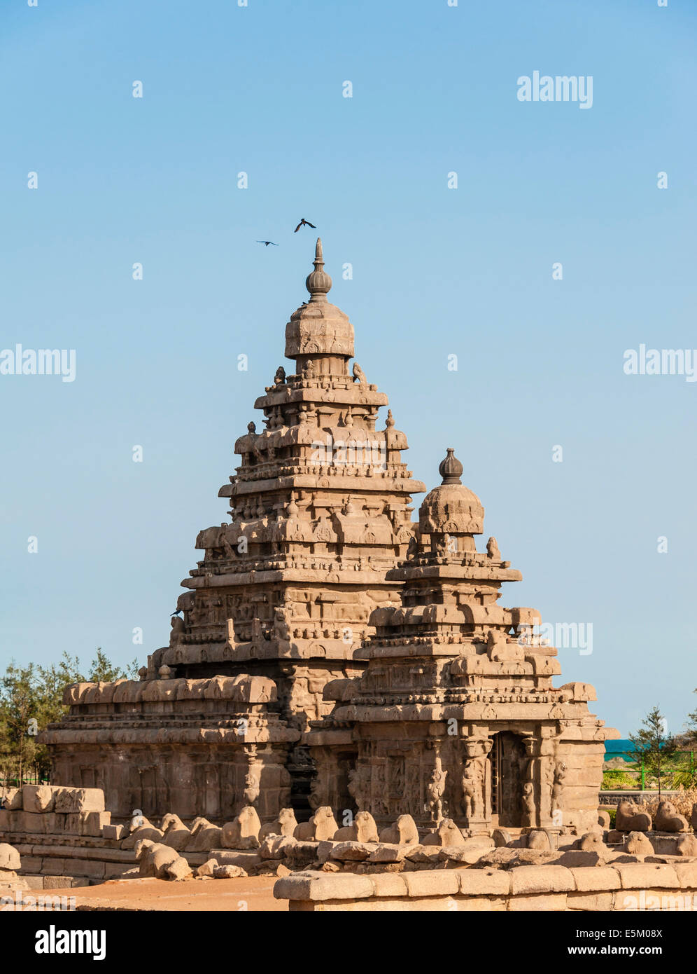 Shore Temple, Mahabalipuram, Kanchipuram, Tamil Nadu, Inde Banque D'Images