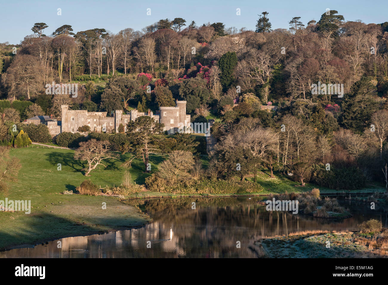 Château de Caerhays, Cornwall. Le château a été construit c.1810. Les jardins détiennent la plus grande collection de magnolias en Angleterre Banque D'Images