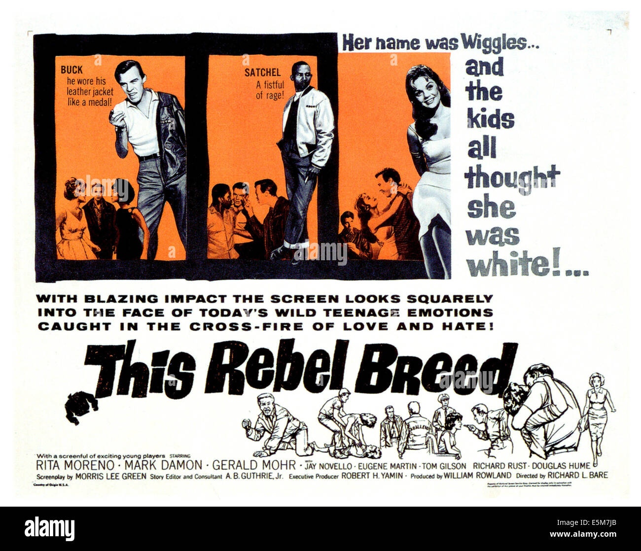 Cette race rebelle, Richard Rust, Al Freeman Jr., Dyan Cannon, 1960 Banque D'Images