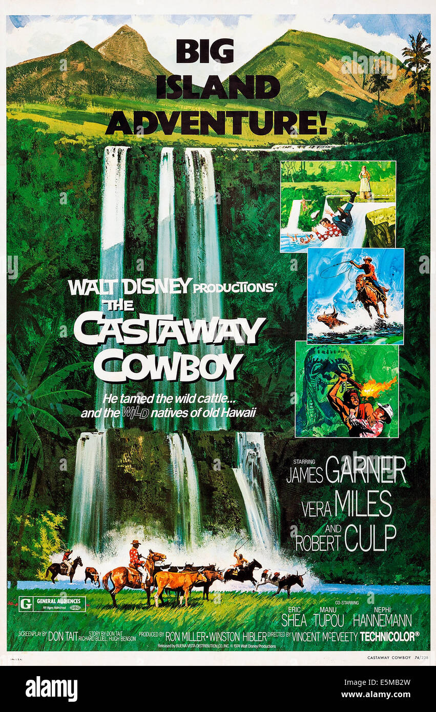 Le Castaway Cowboy, de nous poster art, 1974 Banque D'Images