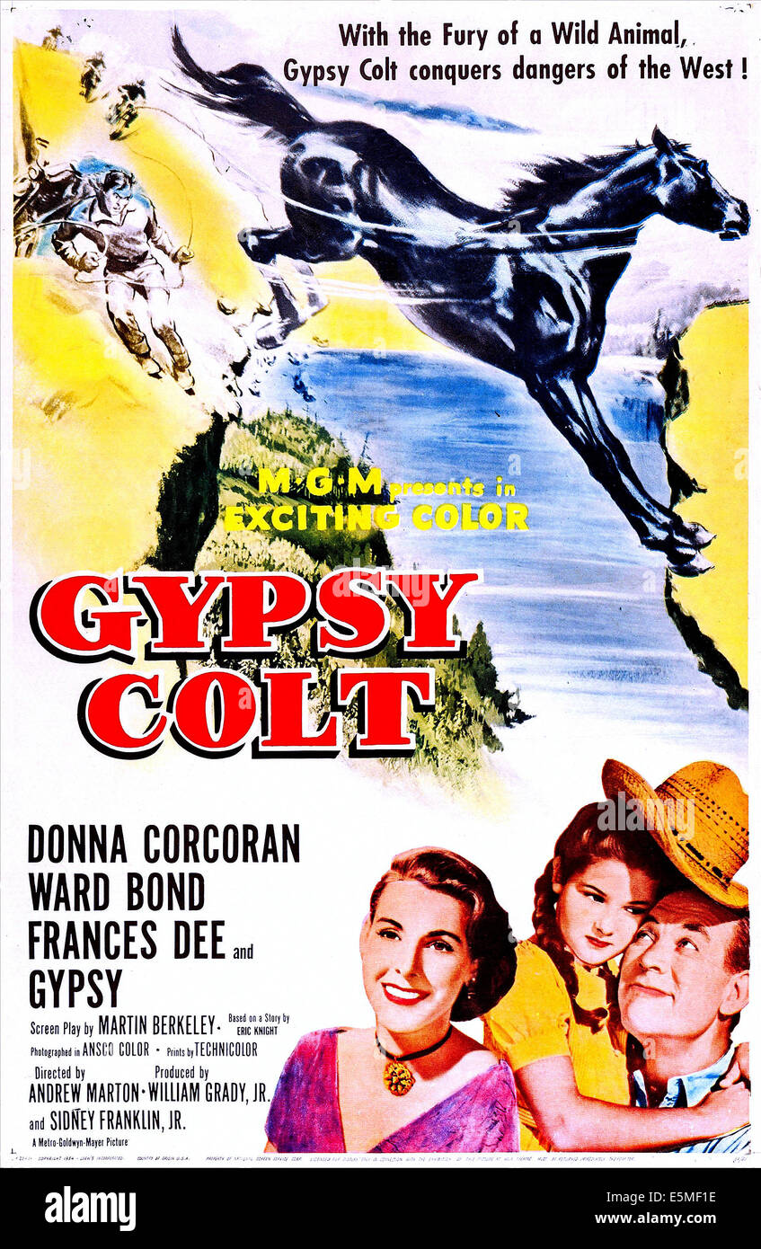 GYPSY COLT, US poster art, de gauche : Frances Dee, Donna Corcoran, Ward Bond, 1953 Banque D'Images