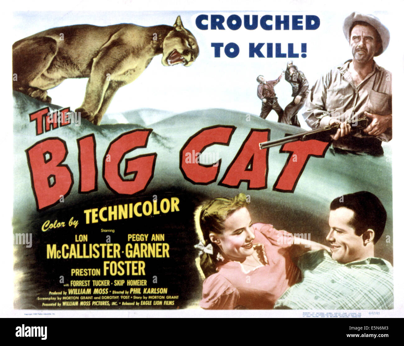 Le gros chat, Peggy Ann Garner, Preston Foster, Lon McCallister, 1949 Banque D'Images