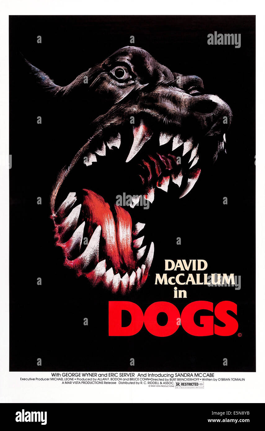 Les chiens, de nous poster, 1976 Banque D'Images