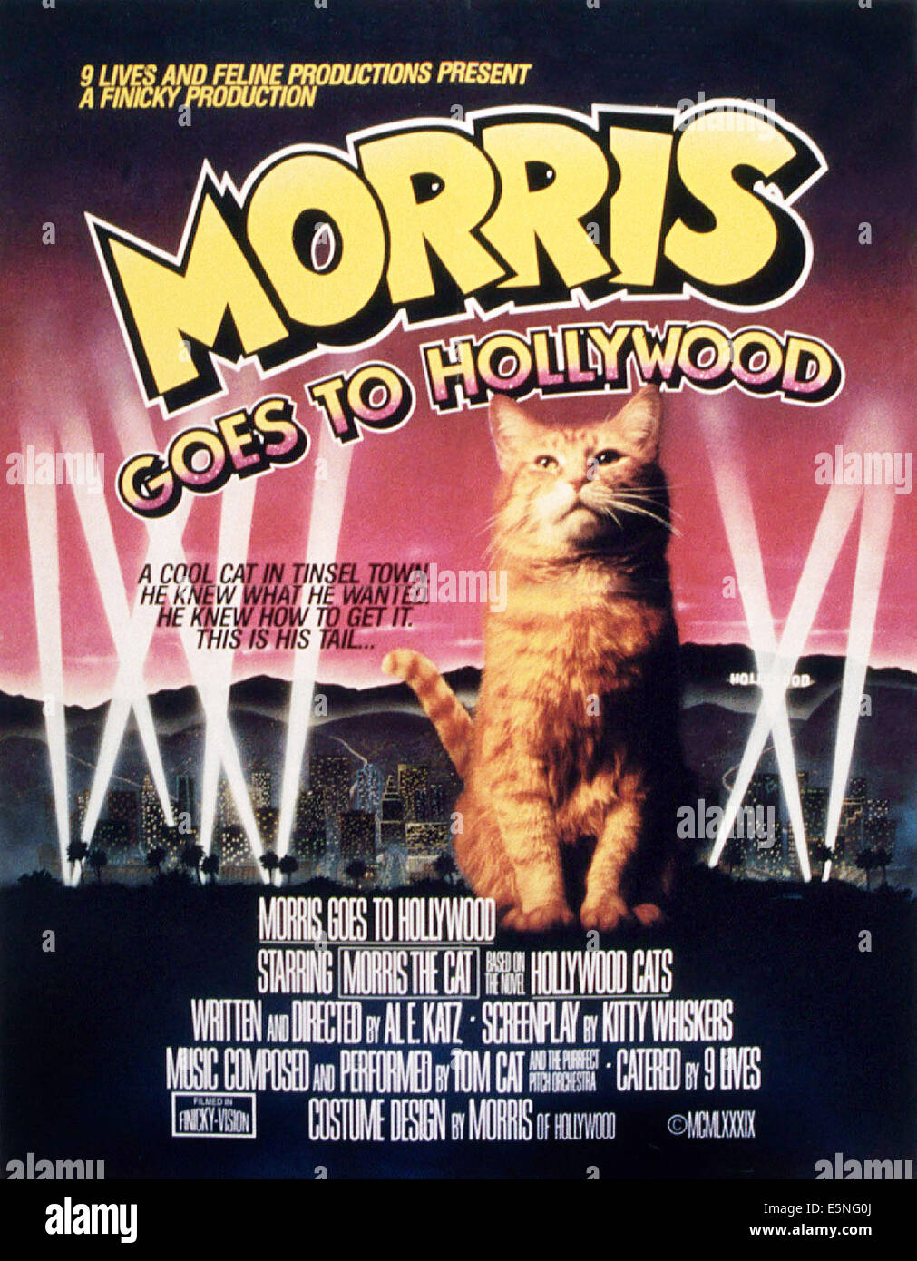 MORRIS VA À HOLLYWOOD, Morris le chat, 1989 Banque D'Images