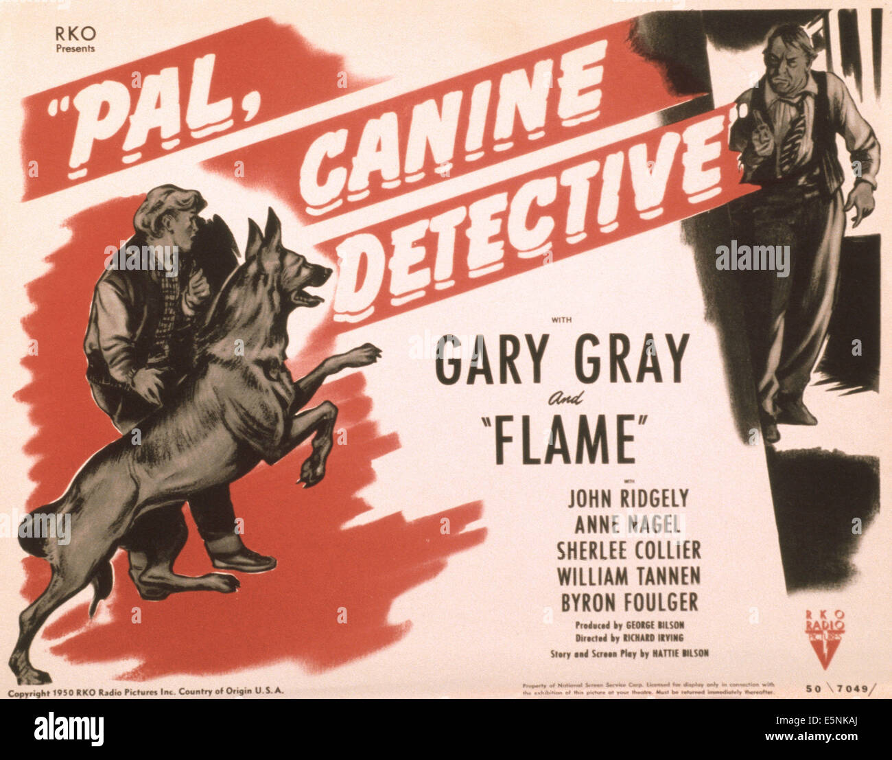 PAL, détective canin, US poster, de gauche : Gary Gray, William Tannen, 1950 Banque D'Images
