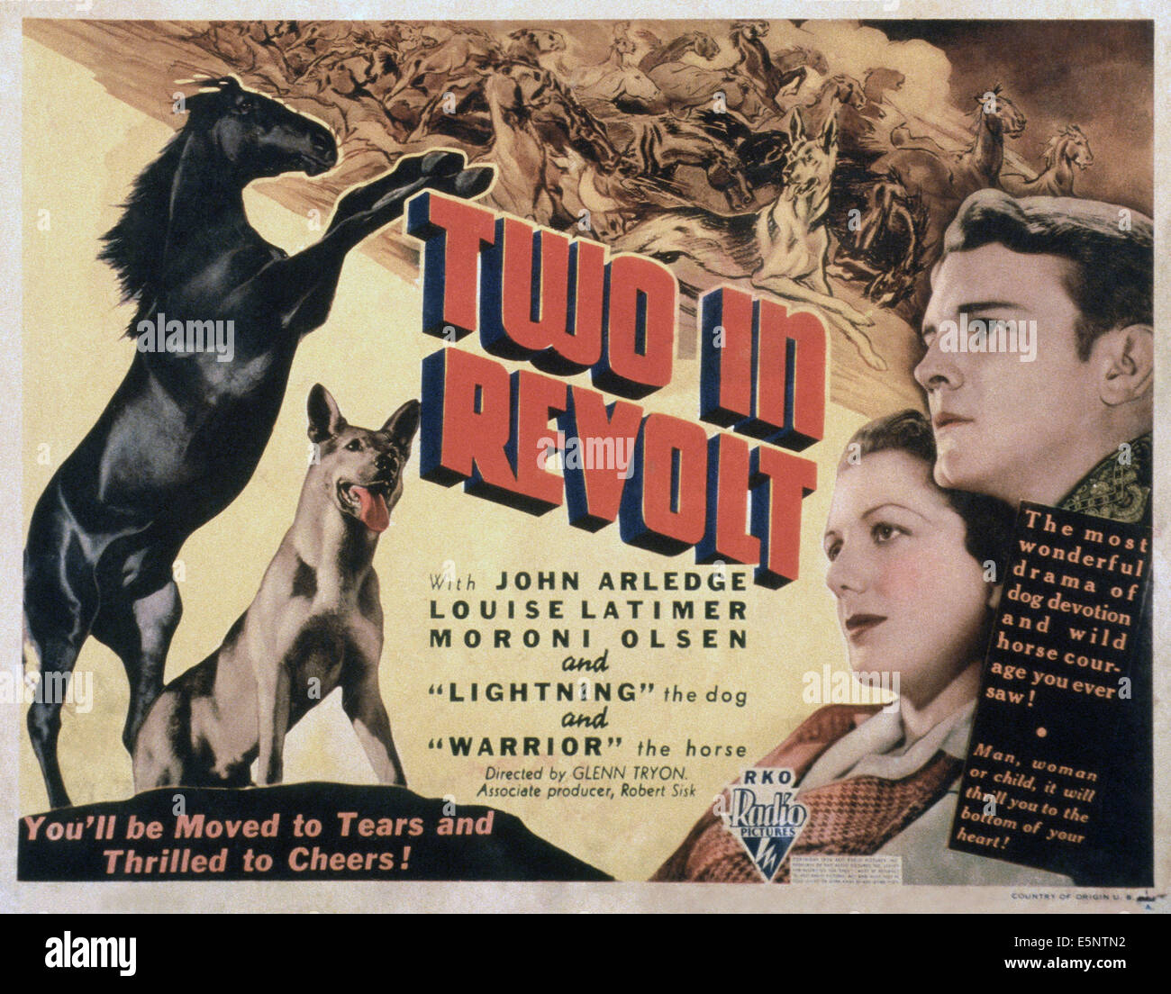 Deux en révolte, US lobbycard, de gauche : le cheval guerrier, la foudre le chien, Louise Latimer, John Arledge, 1936 Banque D'Images