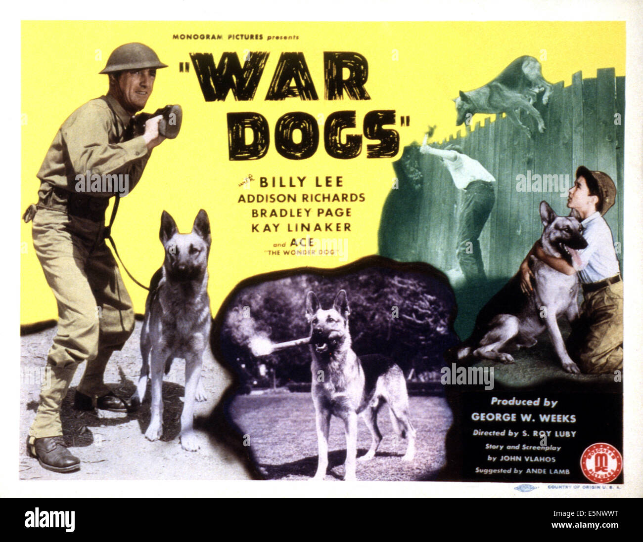 Les chiens de guerre, Addison Richards, Ace l'Étonnant Chien, Billy Lee, 1942 Banque D'Images
