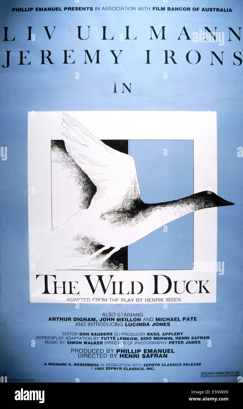 Le canard sauvage, de nous poster, 1984, © Zephyr Classics/avec la permission d'Everett Collection Banque D'Images