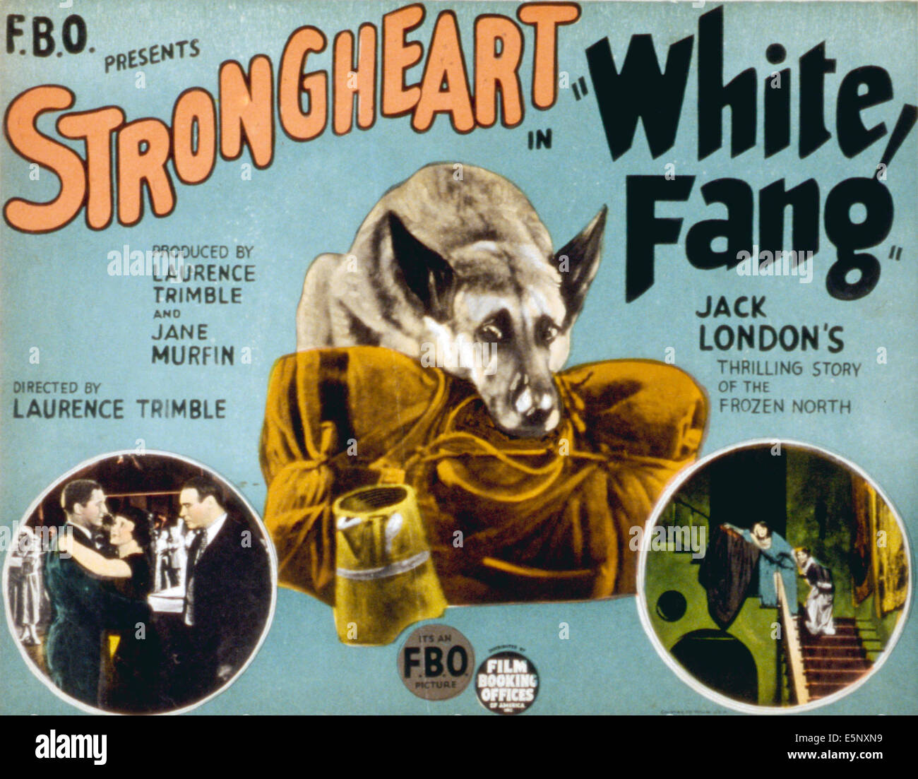 Croc blanc, le chien Strongheart, 1925 Banque D'Images