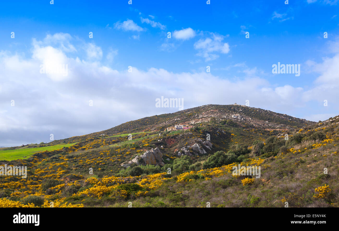 Vue panoramique sur les montagnes de la région de Tanger, Maroc Banque D'Images