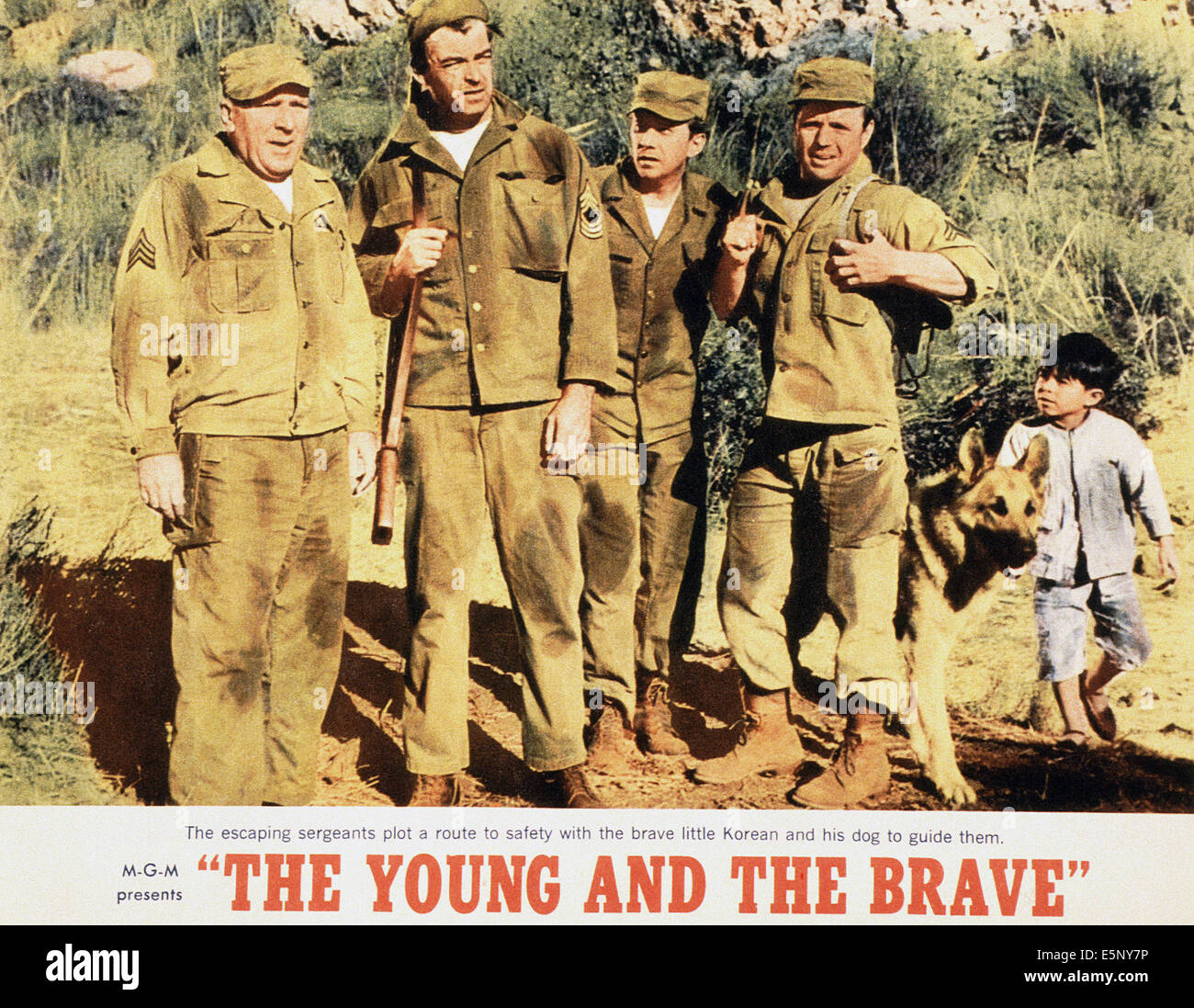 Les jeunes et les courageux, US lobbycard, de gauche à droite : William Bendix, Rory Calhoun, Robert Ivers, Richard Jaeckel, Manuel Padilla Banque D'Images