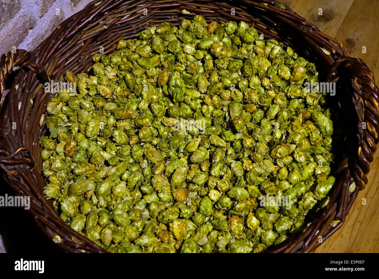 Panier de fleurs de houblon récolté dans le musée du houblon sur la culture et l'utilisation de houblon à Poperinge, Flandre orientale, Belgique Banque D'Images