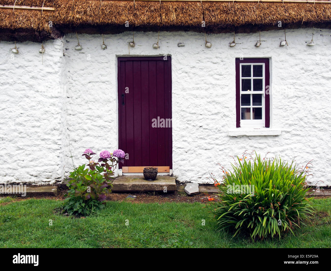 Porte et fenêtre d'un cottage traditionnel Irlandais avec lié un toit de chaume. Banque D'Images