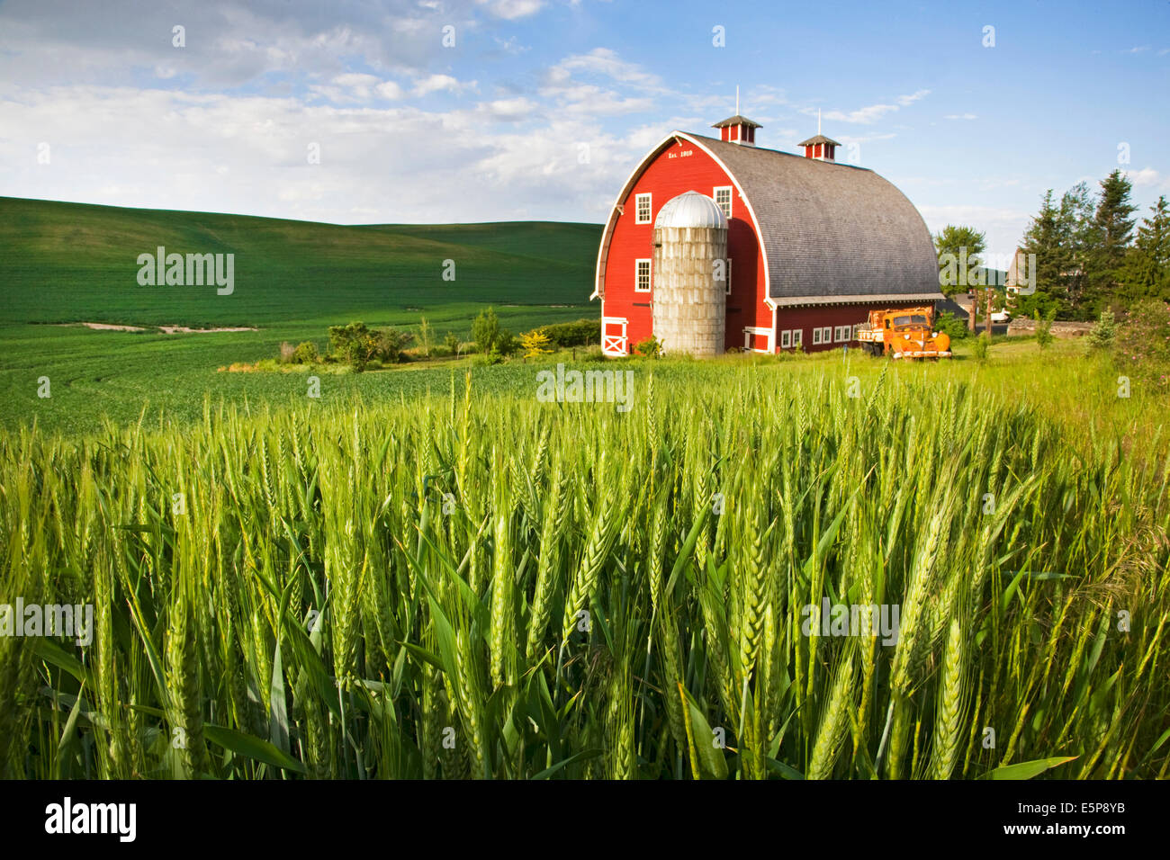 Une ferme dans la région de Empire Palouse à distance, une région d'agriculture et la culture du blé de collines et de larges skies dans l'Est de Washington. Banque D'Images