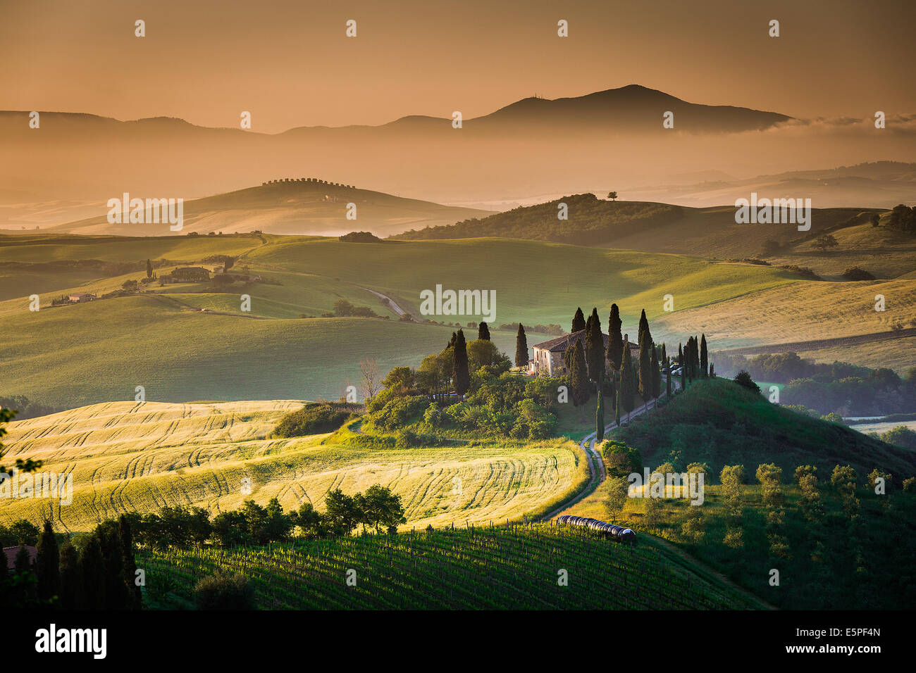 La campagne toscane, dans la lumière du matin avec ferme et collines en arrière-plan. Val d'Orcia, Italie Banque D'Images