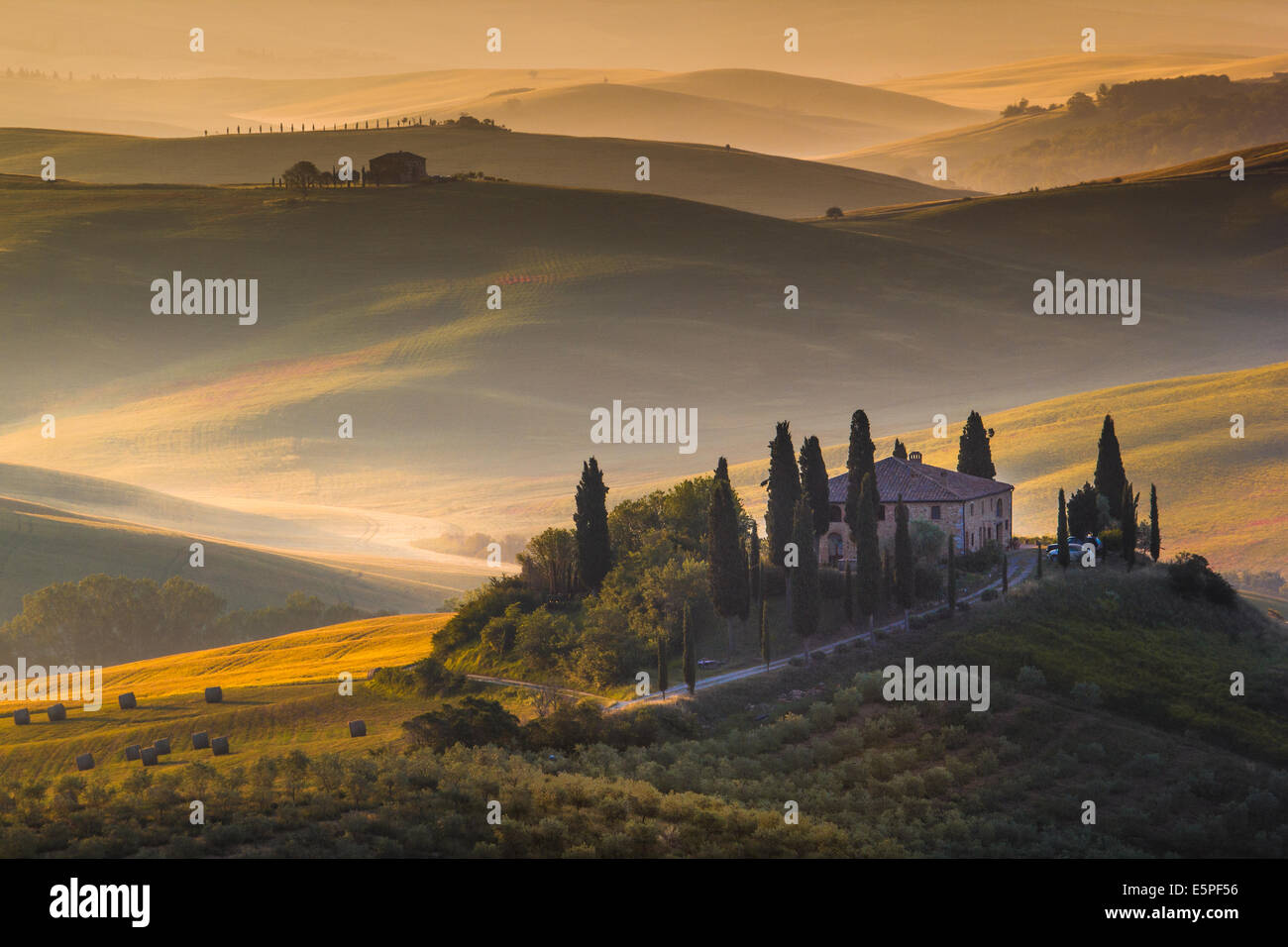 La campagne toscane, dans la lumière du matin avec ferme et collines en arrière-plan. Val d'Orcia, Italie Banque D'Images