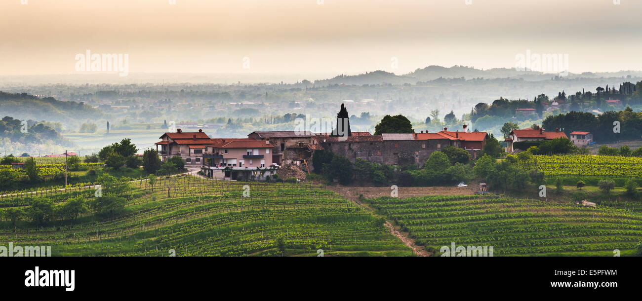 Maison de ferme et vignobles près 34070 Goriska Brda (Gorizia Hills), Slovénie, Europe Banque D'Images