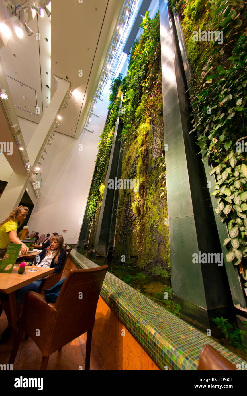 Jardin vertical (mur vivant) conçu par Patrick Blanc à l'Dussman Das Kulturkaufhaus à Berlin, Germany, Europe Banque D'Images