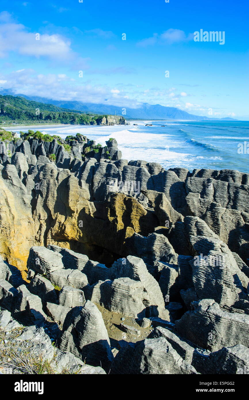 Belle Rock formation, Pancake Rocks, Paparoa National Park, côte ouest, île du Sud, Nouvelle-Zélande, Pacifique Banque D'Images