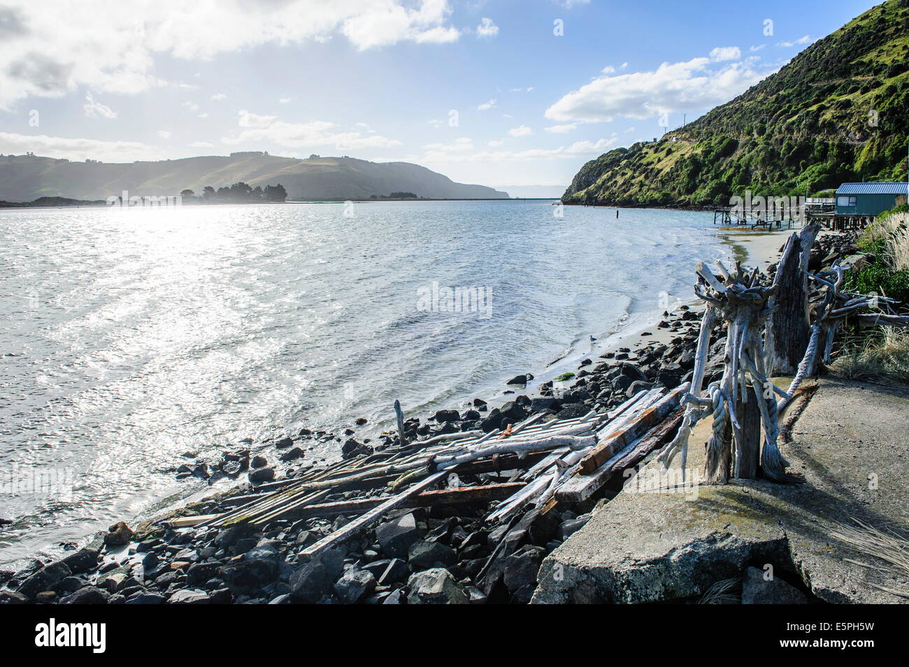 Bois flotté sur la côte de la péninsule d'Otago, île du Sud, Nouvelle-Zélande, Pacifique Banque D'Images