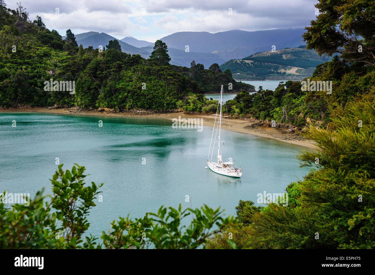 Bateau à voile dans le Marlborough Sounds, île du Sud, Nouvelle-Zélande, Pacifique Banque D'Images