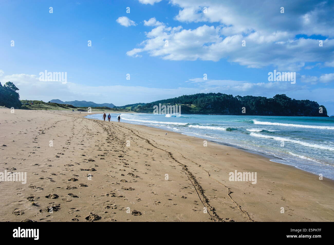Longue plage de hot water beach, côte de Coromandel, île du Nord, Nouvelle-Zélande, Pacifique Banque D'Images