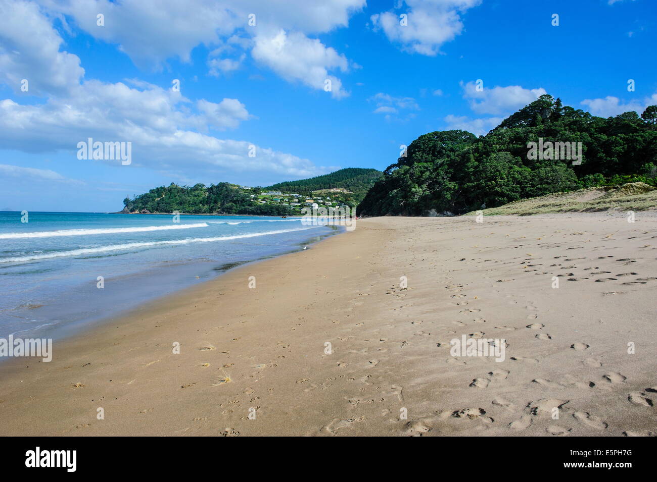 Longue plage de hot water beach, côte de Coromandel, île du Nord, Nouvelle-Zélande, Pacifique Banque D'Images