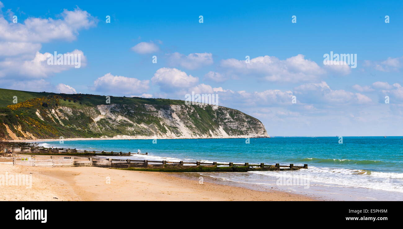 Plage de Swanage et falaises blanches, Dorset, Jurassic Coast, Angleterre, Royaume-Uni, Europe Banque D'Images